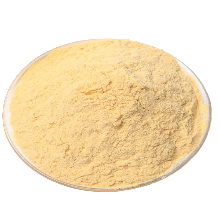 ���͸��ٹ���