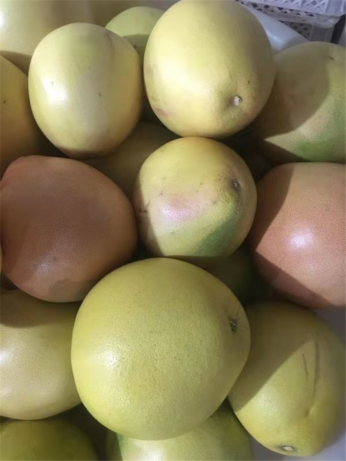 �������Ұ�