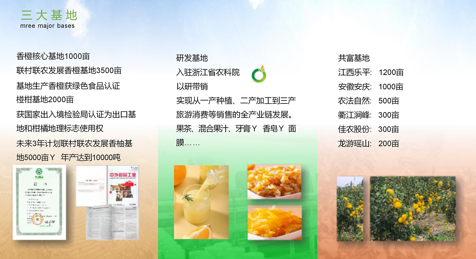 基地.jpg