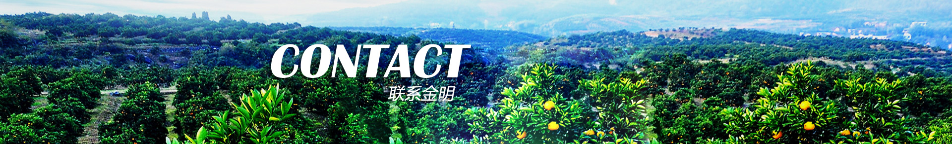 ��ϵ����