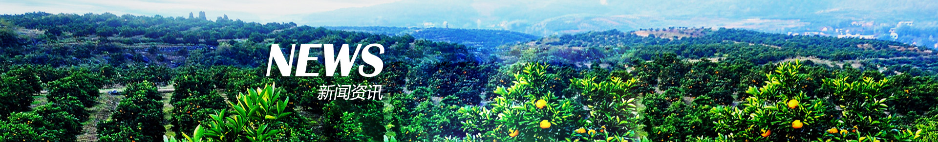 ������Ѷ