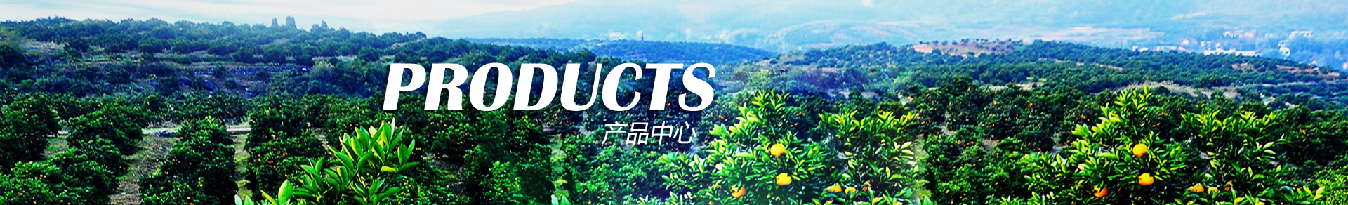 ��Ʒ����